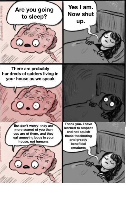 dank memes -  comics - Gazzwh Are you going to sleep? There are probably hundreds of spiders living in your house as we speak But don't worry they are more scared of you than you are of them, and they eat annoying bugs in your house, not humans Yes I am. 