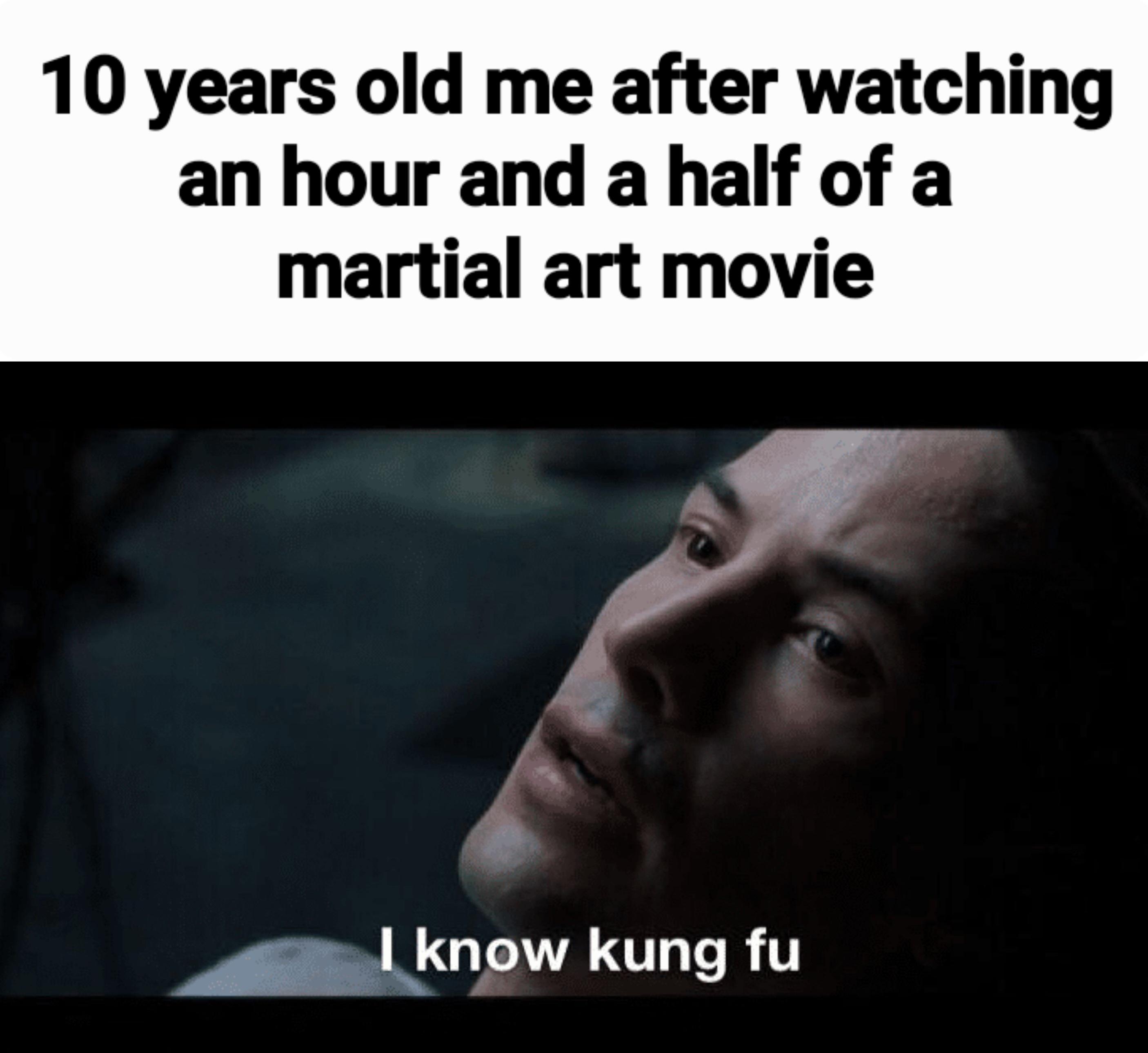 dank memes -  photo caption - 10 years old me after watching an hour and a half of a martial art movie 4 I know kung fu