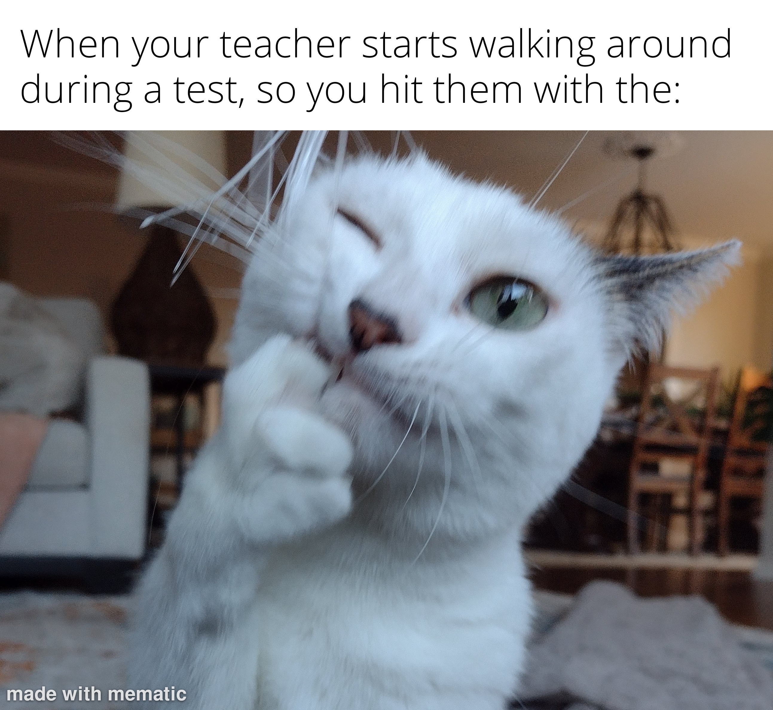 dank memes -  photo caption - When your teacher starts walking around during a test, so you hit them with the made with mematic