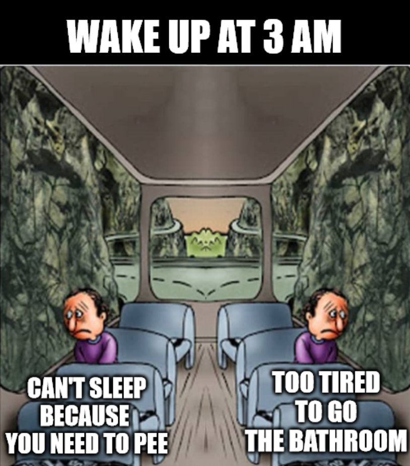 funny memes - cartoon - Wake Up At 3 Am Can'T Sleep Because You Need To Pee Too Tired To Go The Bathroom