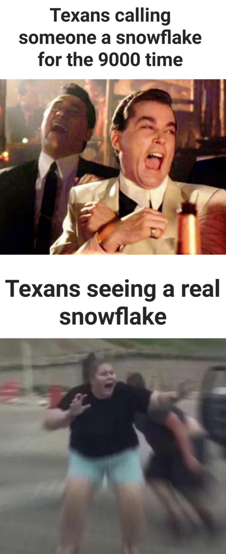 funny memes - photo caption - Texans calling someone a snowflake for the 9000 time Texans seeing a real snowflake