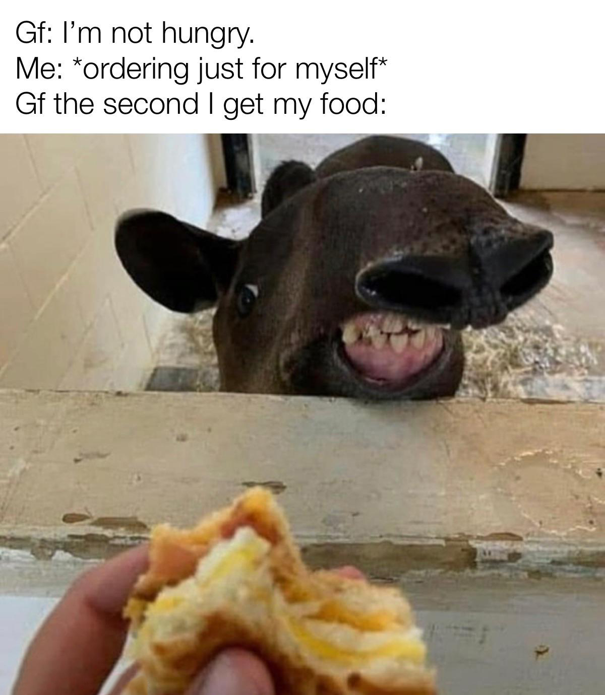 funny memes - fauna - Gf I'm not hungry. Me ordering just for myself Gf the second I get my food