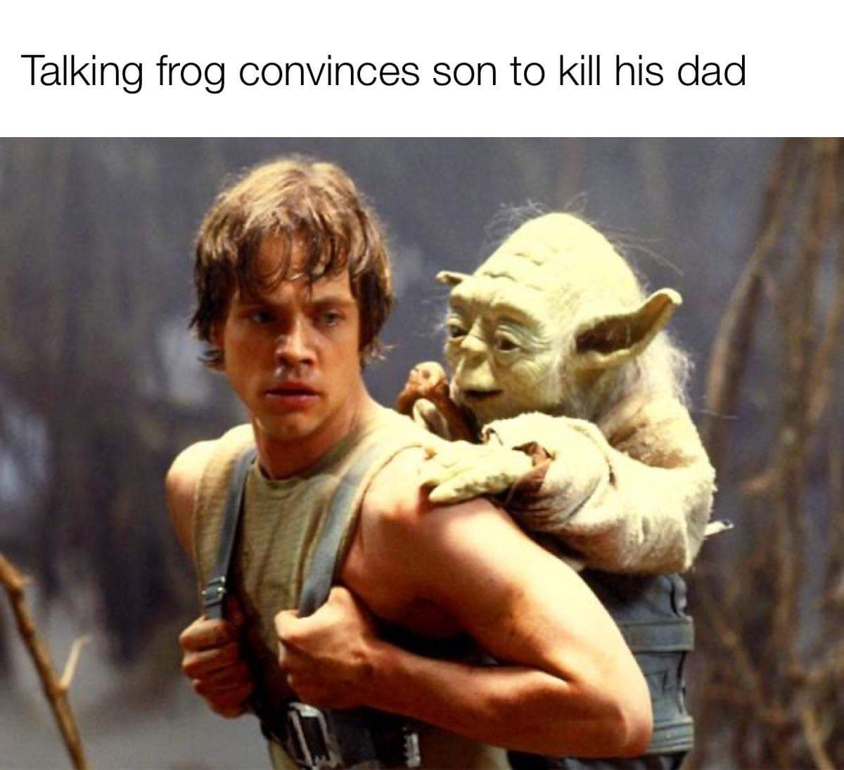funny memes - luke skywalker yoda backpack - Talking frog convinces son to kill his dad