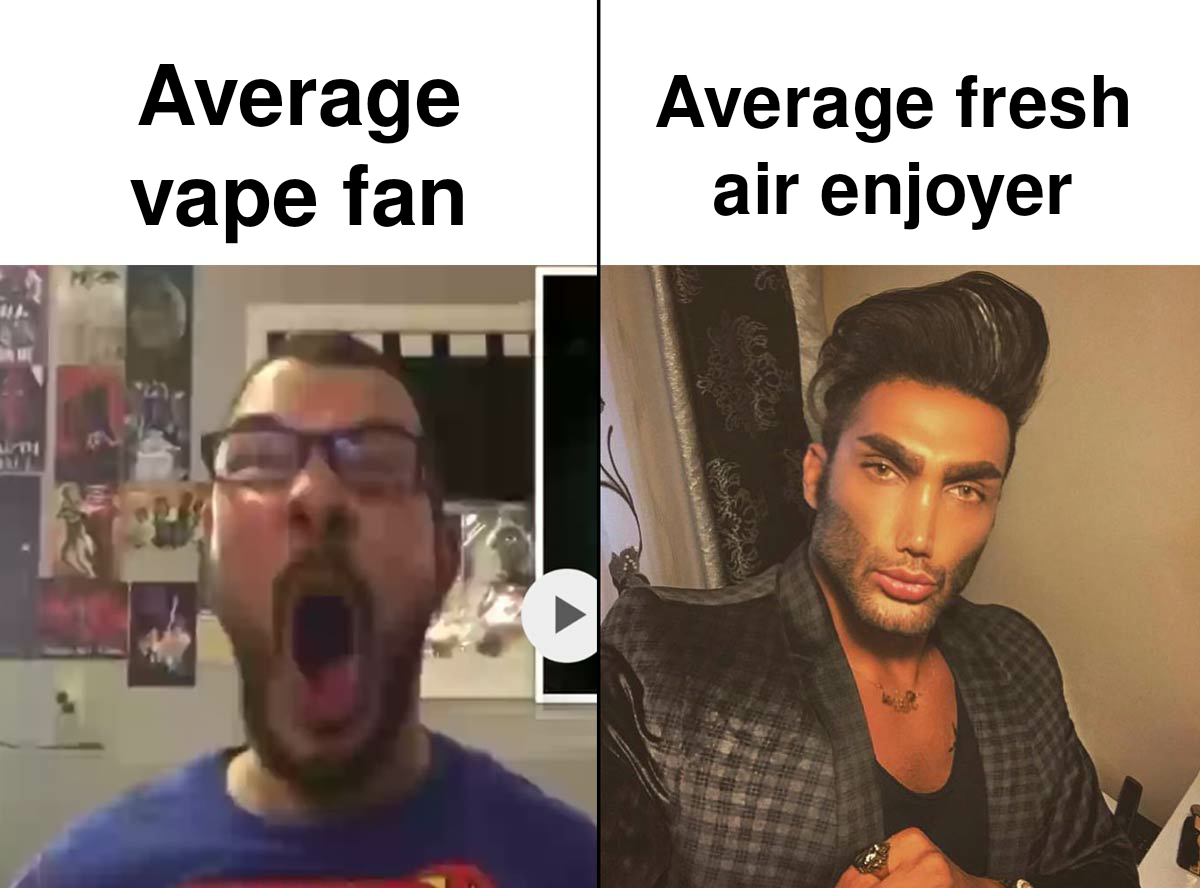 funny memes - Meme - 114. 17M Average vape fan Average fresh air enjoyer