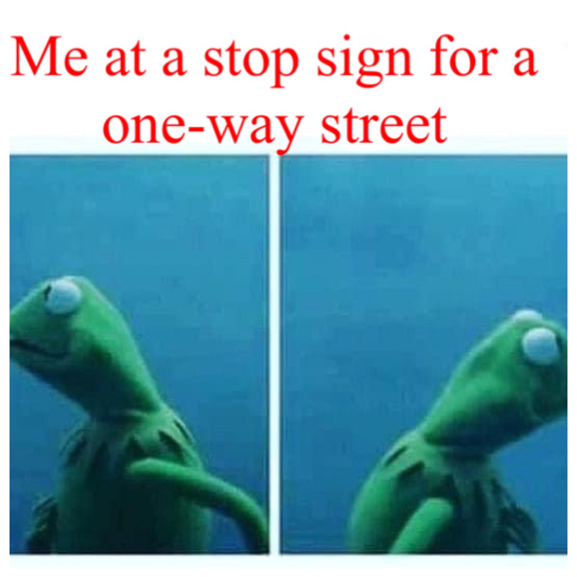 funny memes - fauna - Me at a stop sign for a oneway street