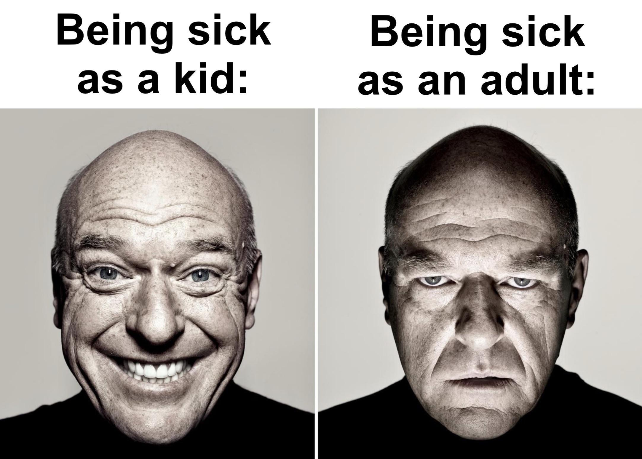 funny memes - hank schrader meme - Being sick as a kid Being sick as an adult