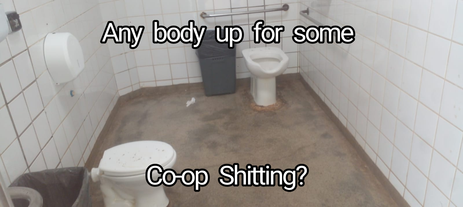 funny memes - tile - Any body up for some Coop Shitting?