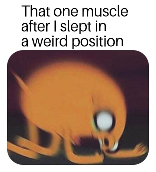 funny memes - photo caption - That one muscle after I slept in a weird position