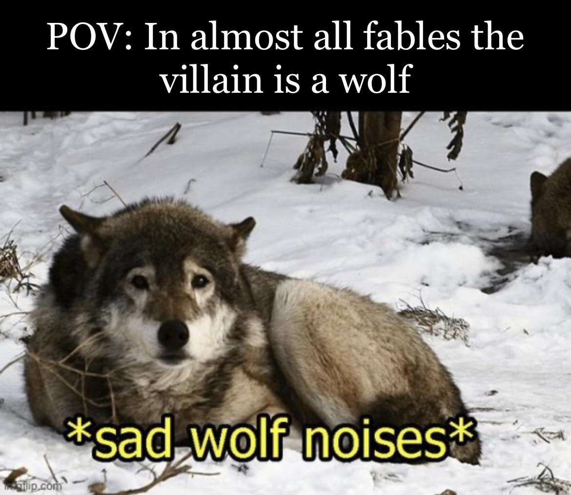 funny memes - sad wolf - Pov In almost all fables the villain is a wolf filip.com sad wolf noises