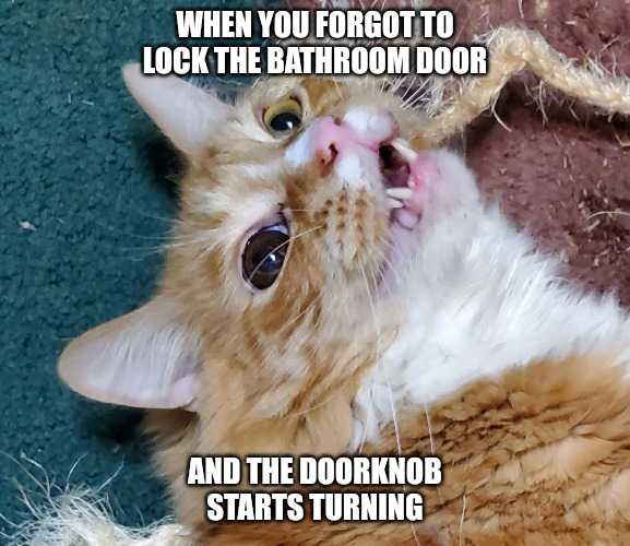 dank memes - photo caption - When You Forgot To Lock The Bathroom Door And The Doorknob Starts Turning