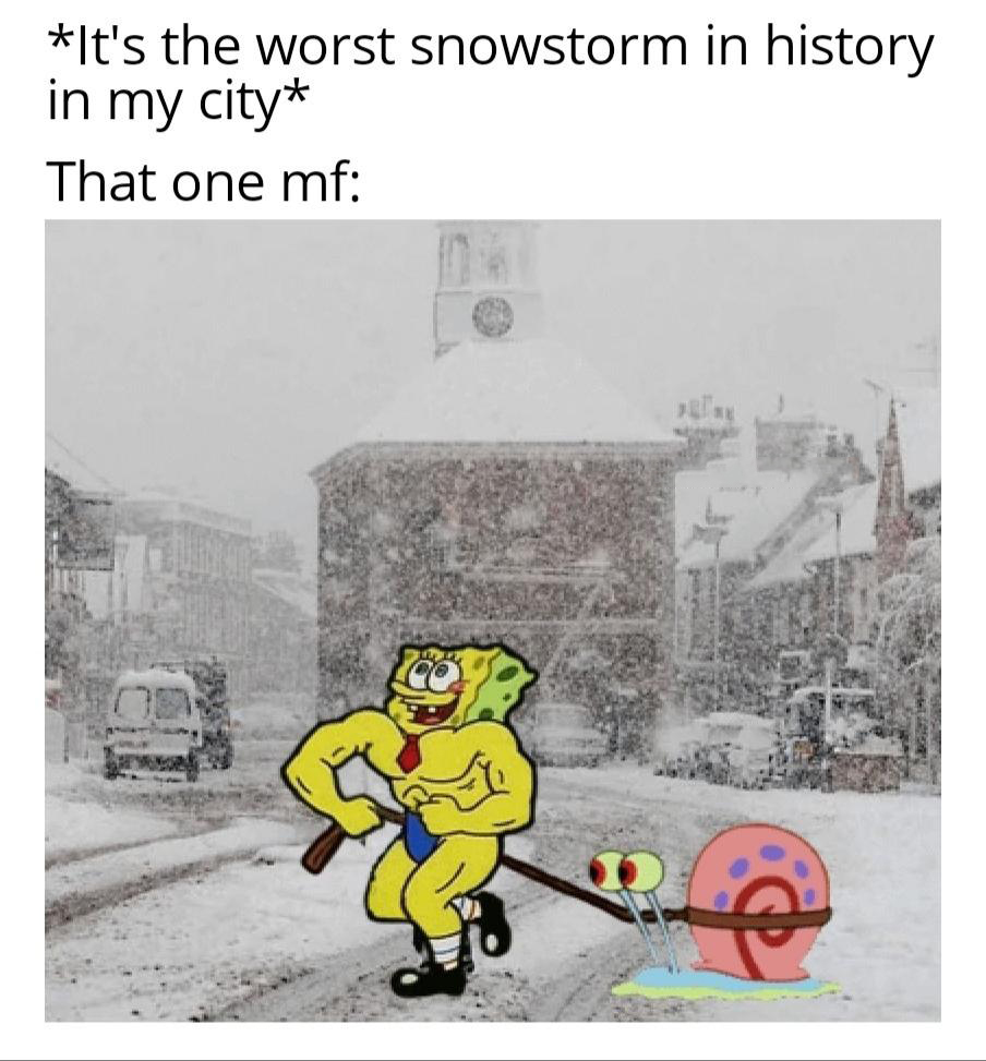 dank memes - cartoon - It's the worst snowstorm in history in my city That one mf