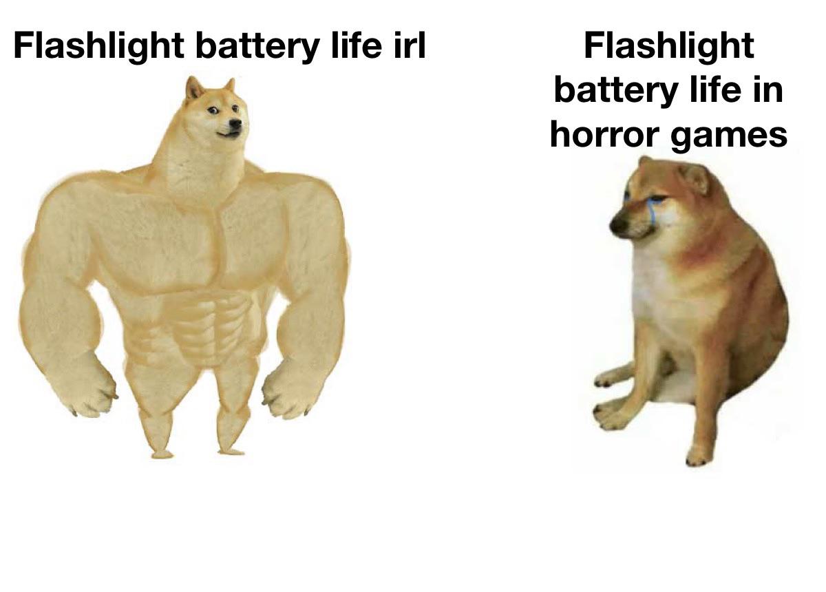 dank memes - doge meme wild dog - Flashlight battery life irl P Flashlight battery life in horror games