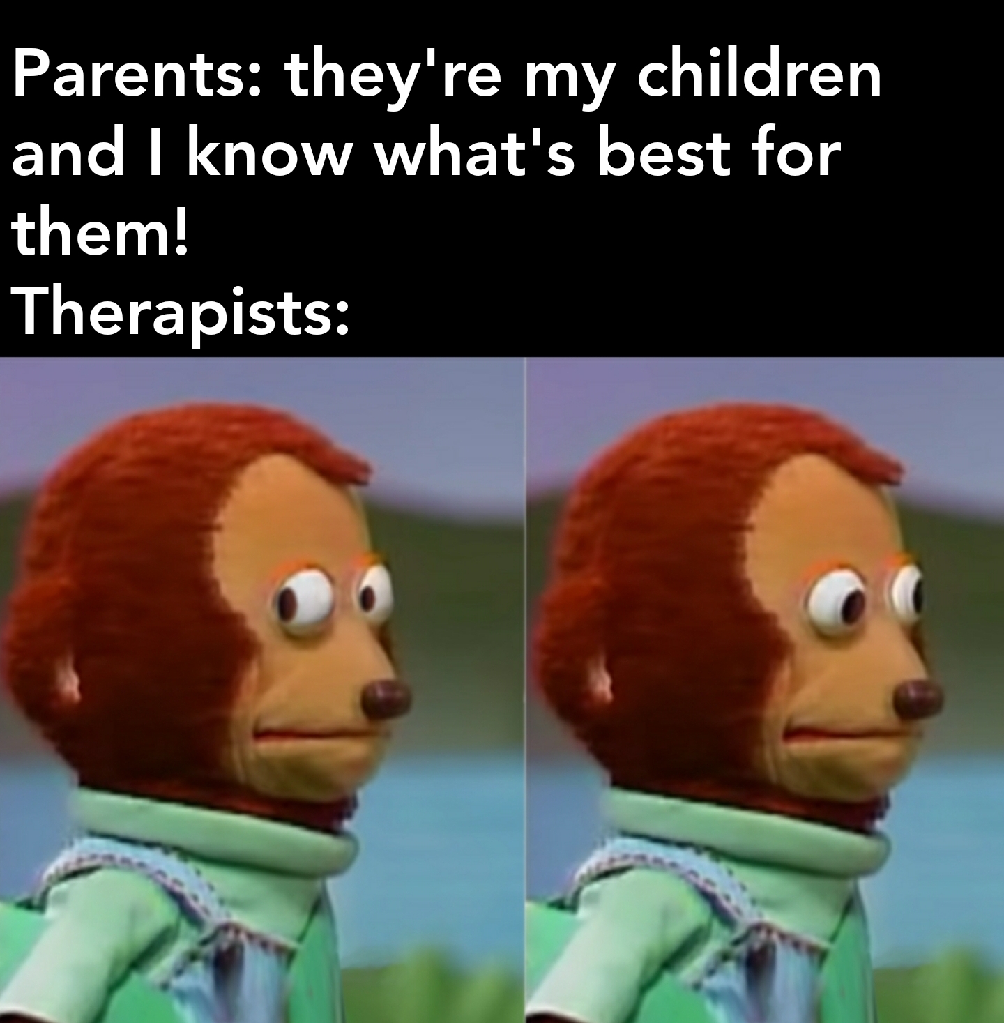 dank memes - his dark materials memes - Parents they're my children and I know what's best for them! Therapists