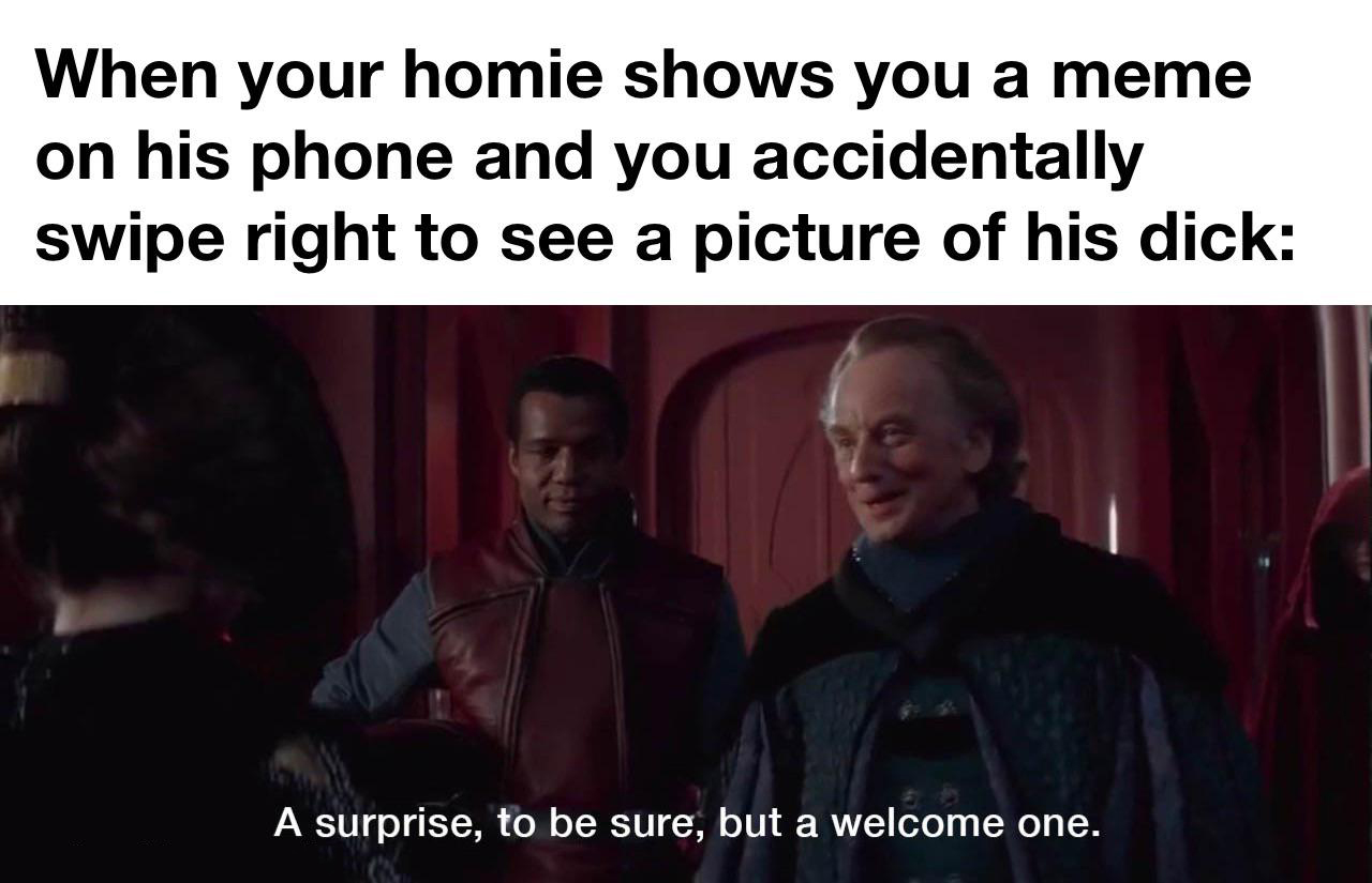 dank memes - quotes - When your homie shows you a meme on his phone and you accidentally swipe right to see a picture of his dick A surprise, to be sure, but a welcome one.