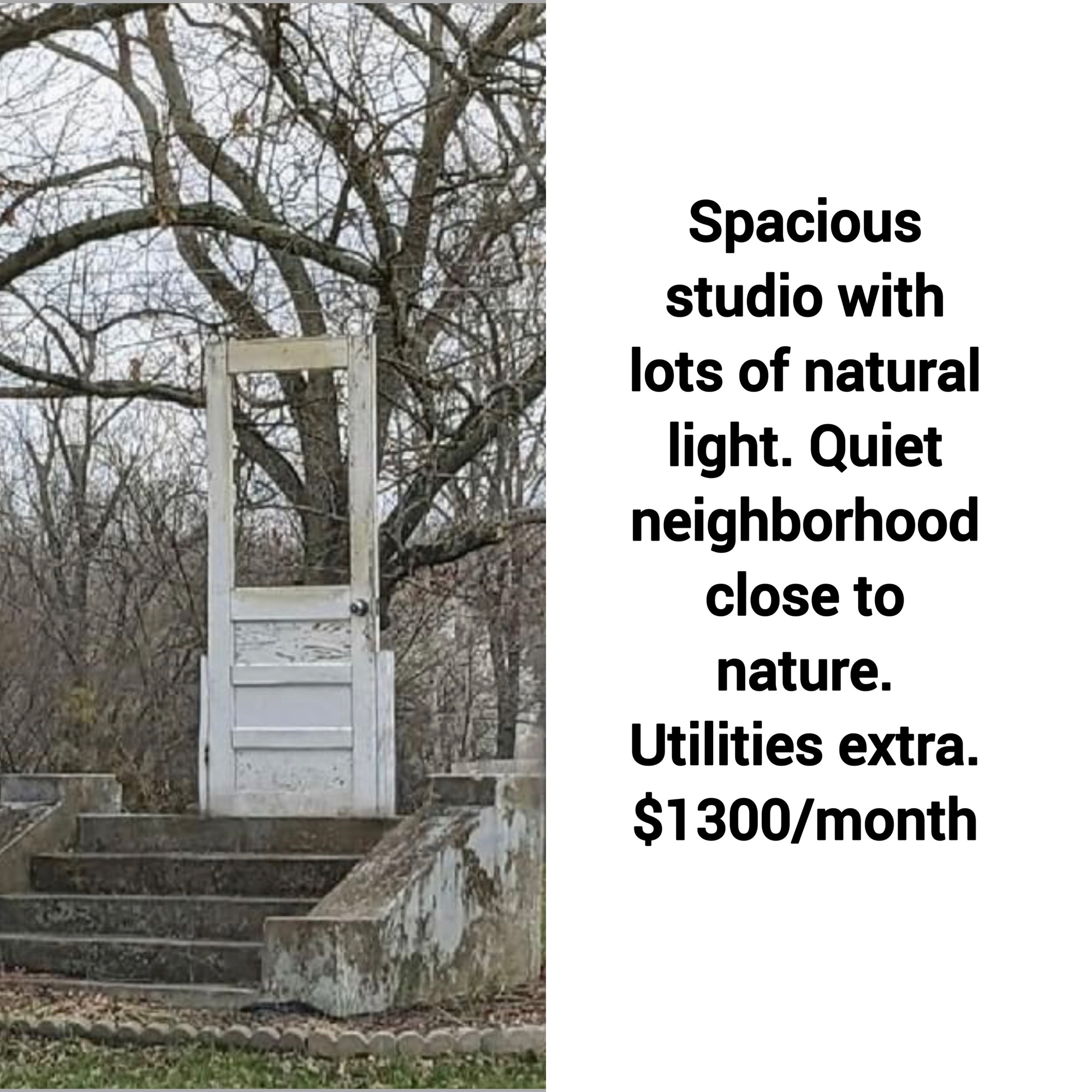 dank memes - tree - Spacious studio with lots of natural light. Quiet neighborhood close to nature. Utilities extra. $1300month