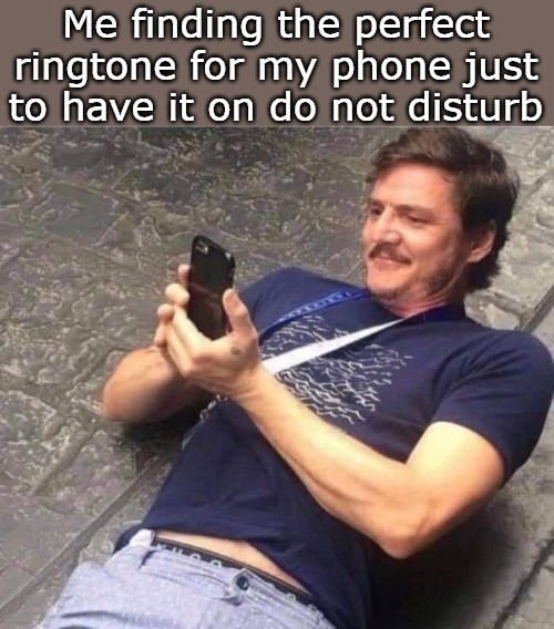 funny memes and pics - photo caption - Me finding the perfect ringtone for my phone just to have it on do not disturb 40
