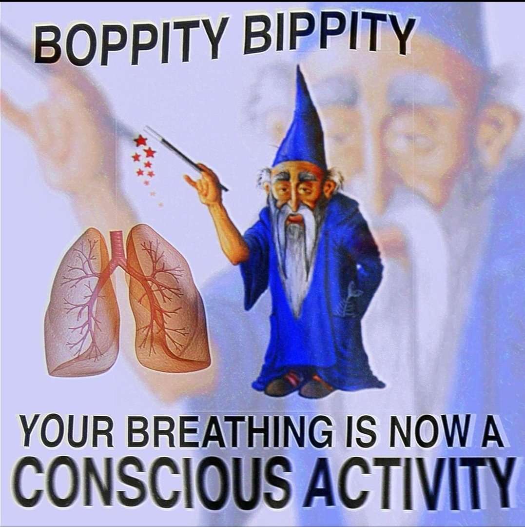 funny memes and pics - bippity boppity your breathing is now a conscious activity - Boppity Bippity Your Breathing Is Now A Conscious Activity