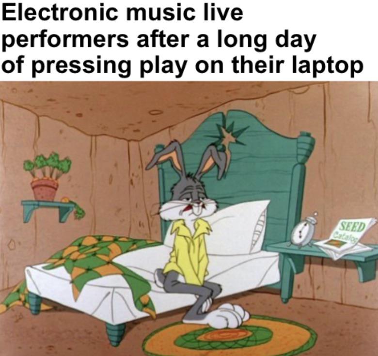 funny memes and pics - looney tunes wake up - Electronic music live performers after a long day of pressing af play on their laptop Seed Catalog