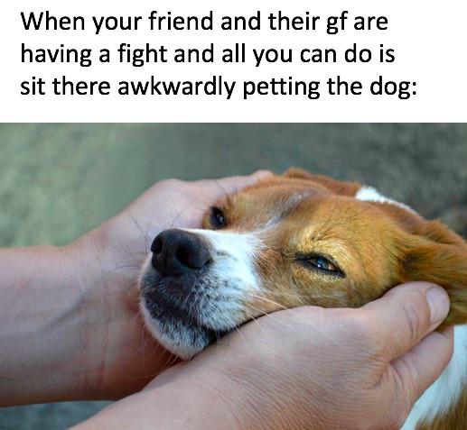 dank memes - peer pressure - When your friend and their gf are having a fight and all you can do is sit there awkwardly petting the dog