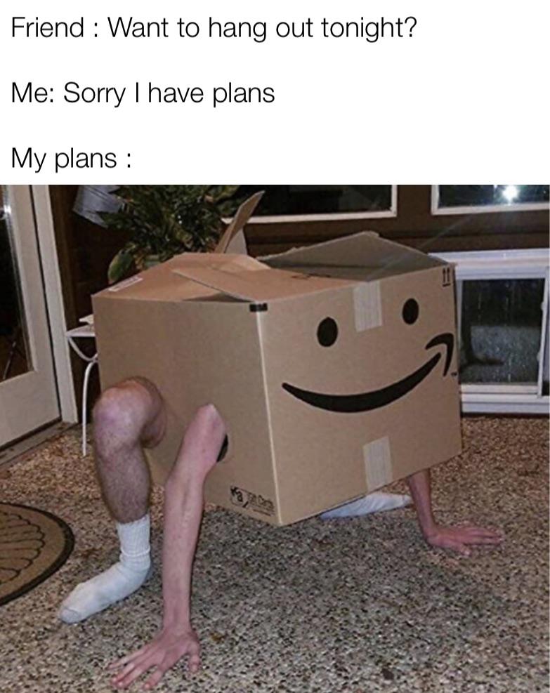 dank memes - Meme - Friend Want to hang out tonight? Me Sorry I have plans My plans