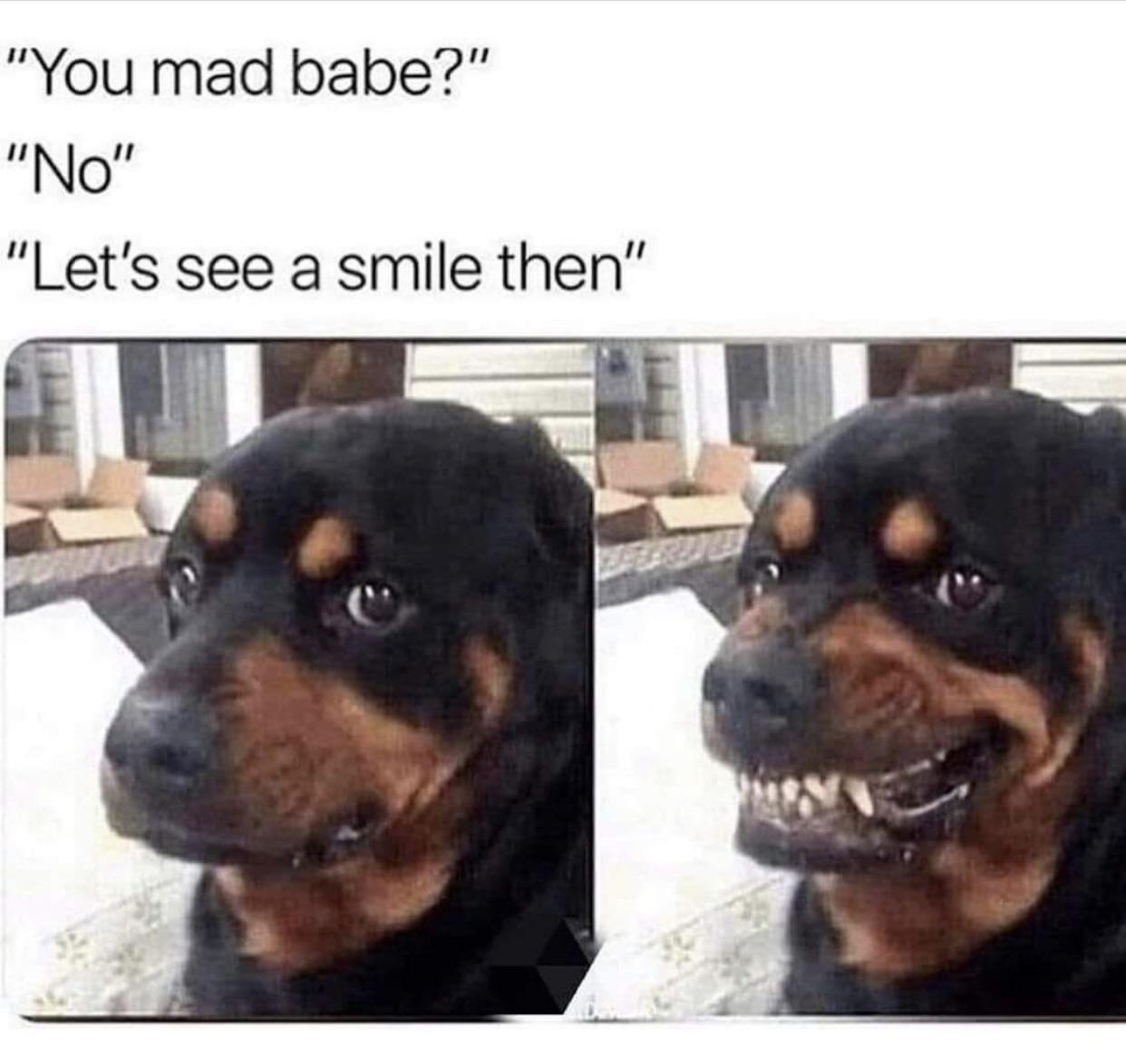 dank memes - babe mad memes - "You mad babe?" "No" "Let's see a smile then"
