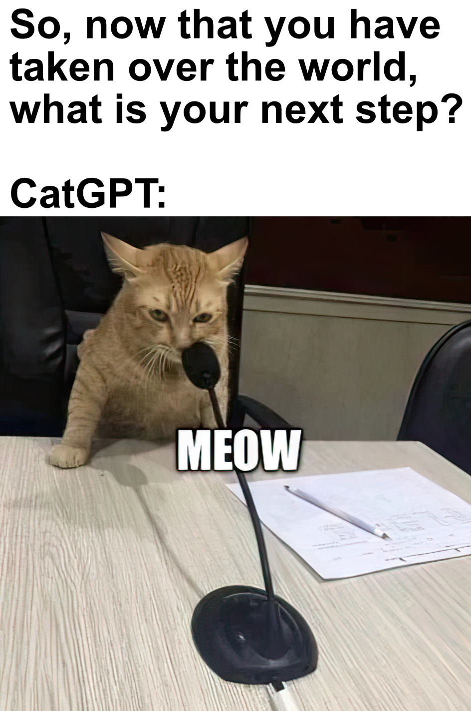 funny memes and pics - photo caption - So, now that you have taken over the world, what is your next step? CatGPT Meow