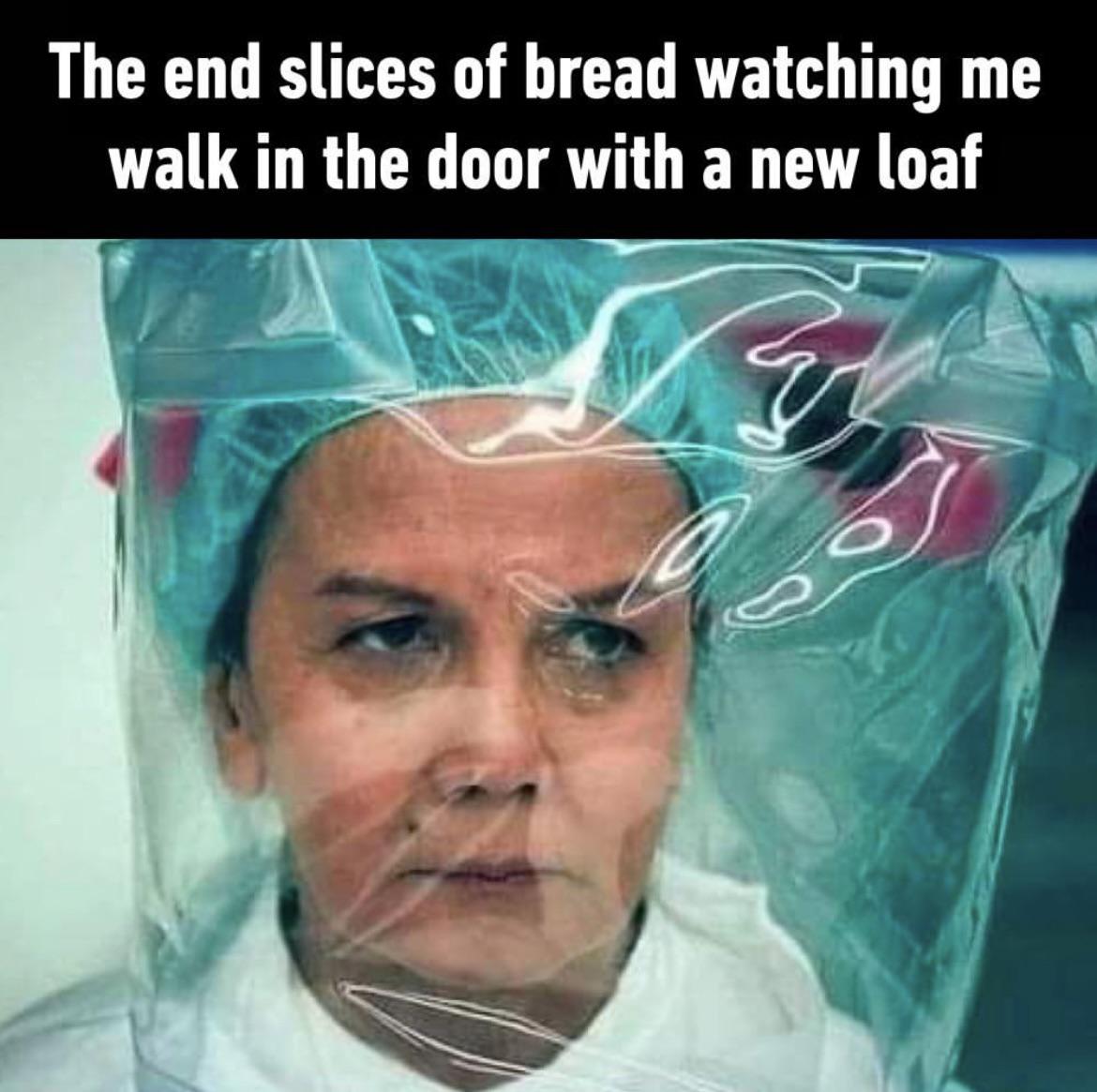 dank memes - head - The end slices of bread watching me walk in the door with a new loaf V