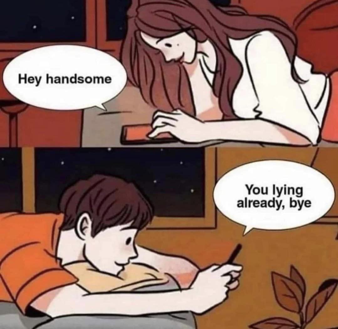 funny memes - comics - Hey handsome You lying already, bye