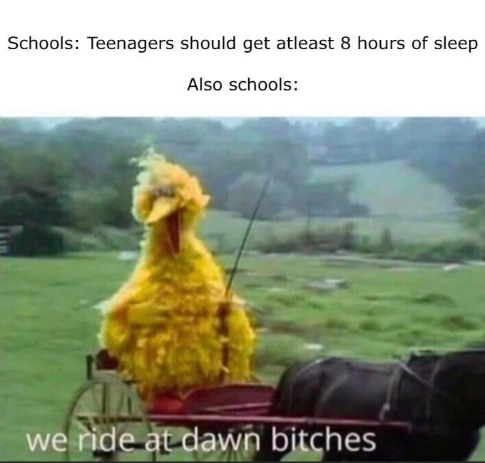 funny memes - we ride at dawn meme airport - Schools Teenagers should get atleast 8 hours of sleep Also schools we ride at dawn bitches