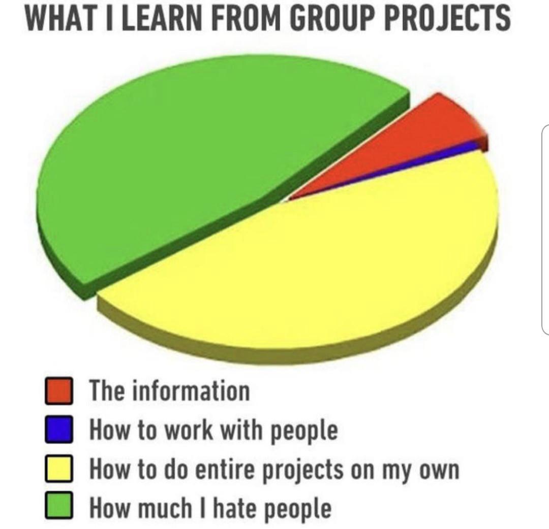 funny memes - group projects are bad - What I Learn From Group Projects The information How to work with people How to do entire projects on my own How much I hate people
