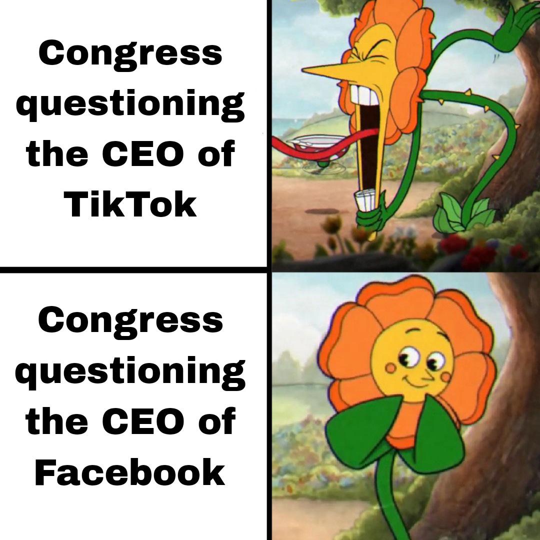 funny memes and pics  - Internet meme - Congress questioning the Ceo of TikTok Congress questioning the Ceo of Facebook
