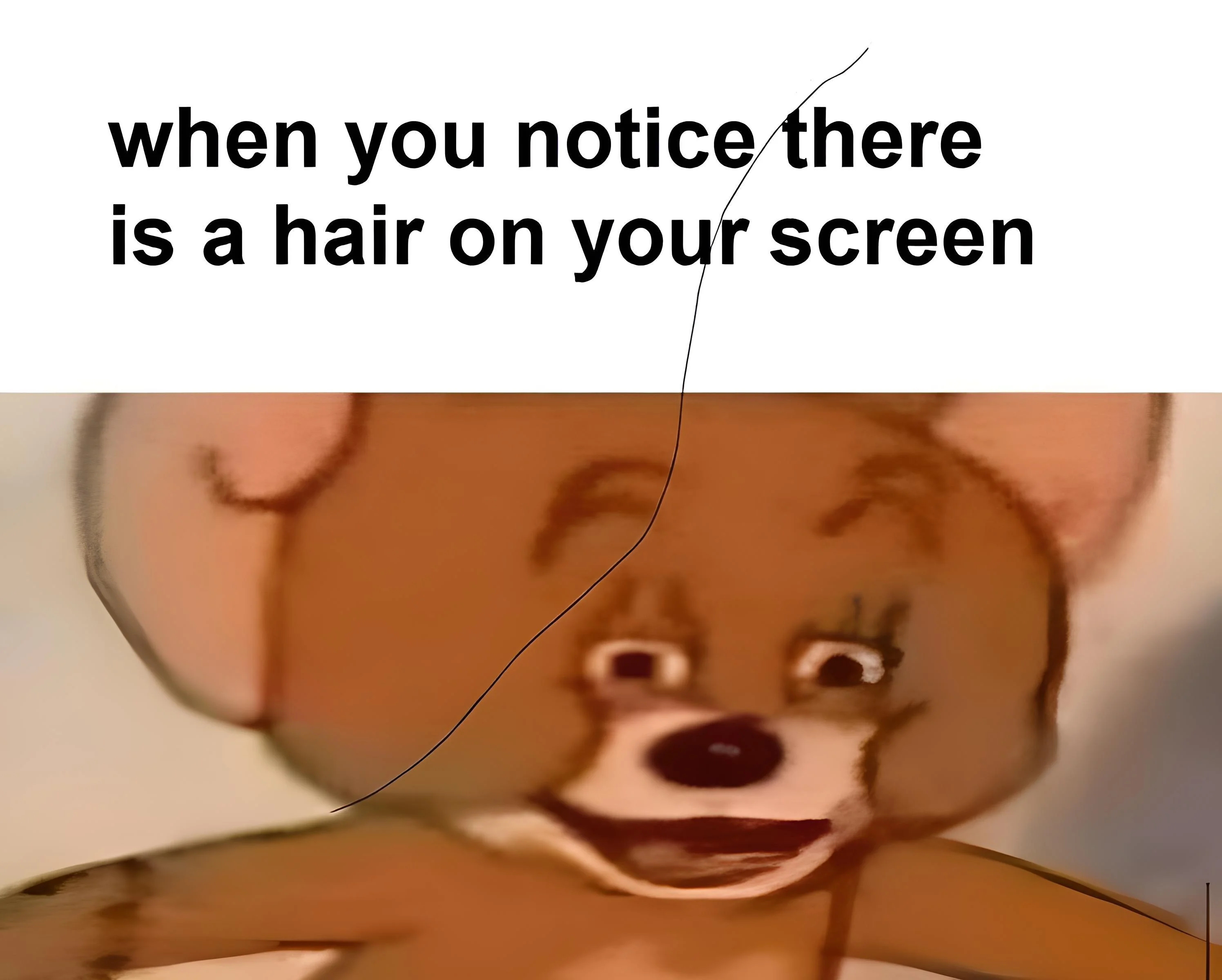 funny memes and pics  - cartoon - when you notice there is a hair on your screen