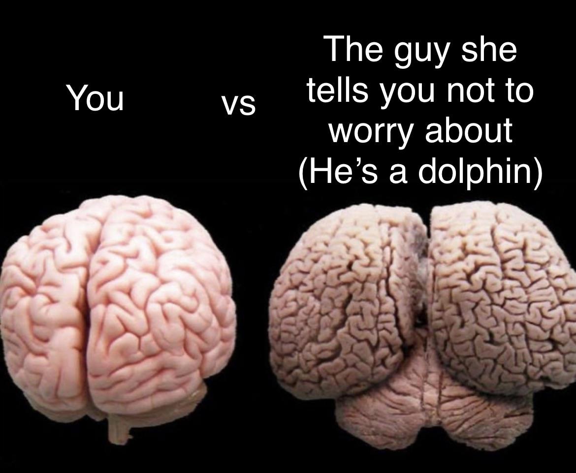 dank memes - dolphin brain - You Vs The guy she tells you not to worry about He's a dolphin
