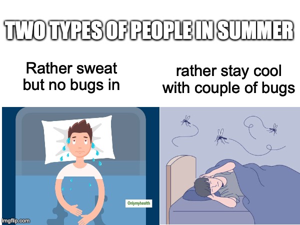 dank memes - head - Two Types Of People In Summer Rather sweat but no bugs in rather stay cool with couple of bugs imgflip.com 8 Onlymyhealth
