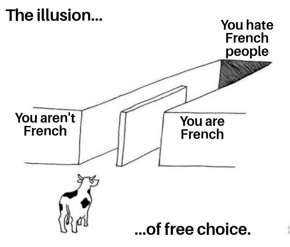 dank memes - illusion of free choice - The illusion... You aren't French You hate French people You are French ...of free choice.