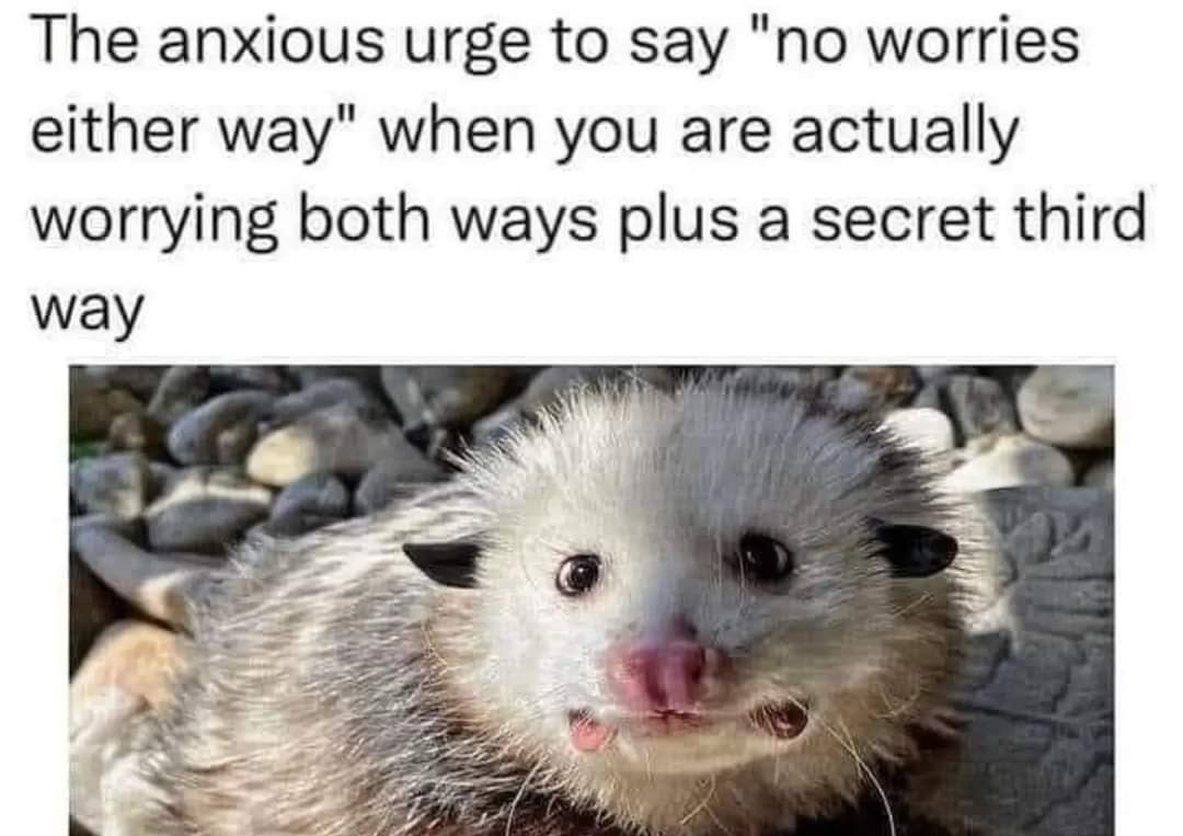 dank memes - fauna - The anxious urge to say "no worries either way" when you are actually worrying both ways plus a secret third way