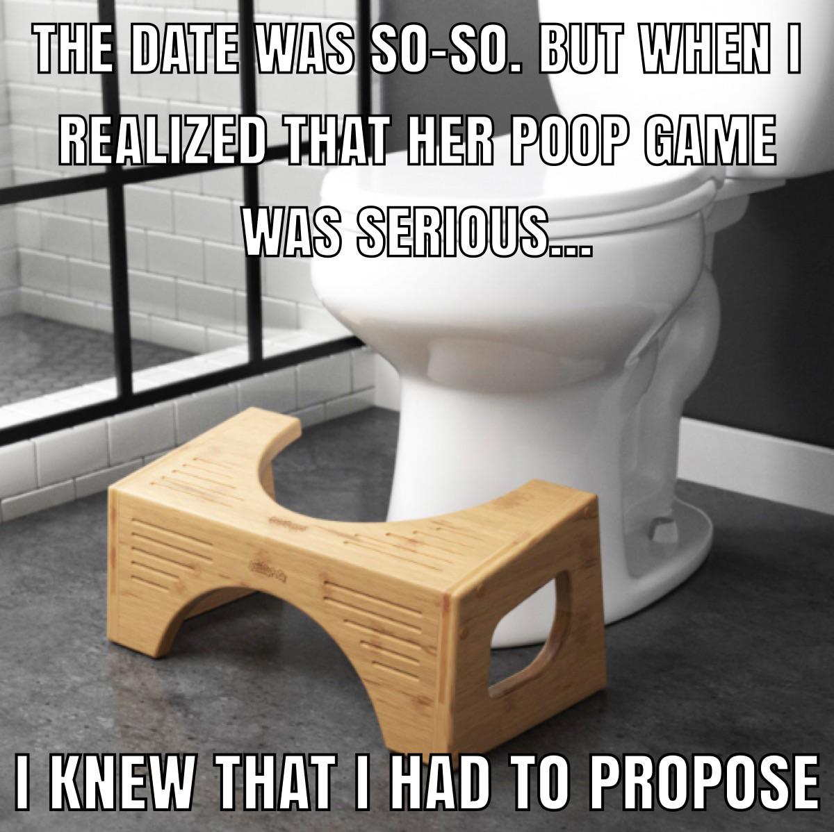 dank memes - squatty potty bambus - The Date Was SoSo. But When I Realized That Her Poop Game Was Serious..... 10 I Knew That I Had To Propose