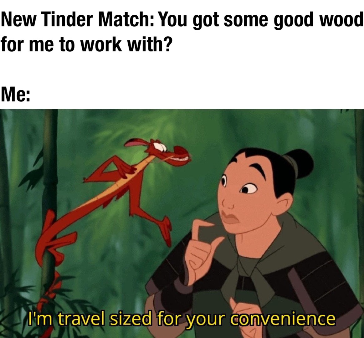 dank memes - mulan meeting mushu - New Tinder Match You got some good wood for me to work with? Me I'm travel sized for your convenience