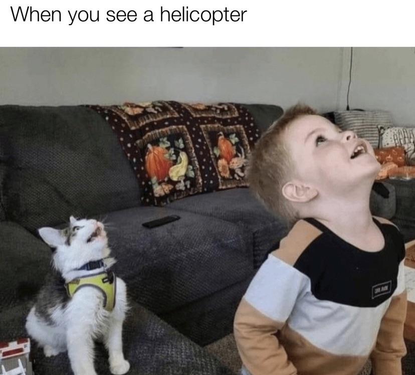 dank memes - dog - When you see a helicopter Cuc Ja