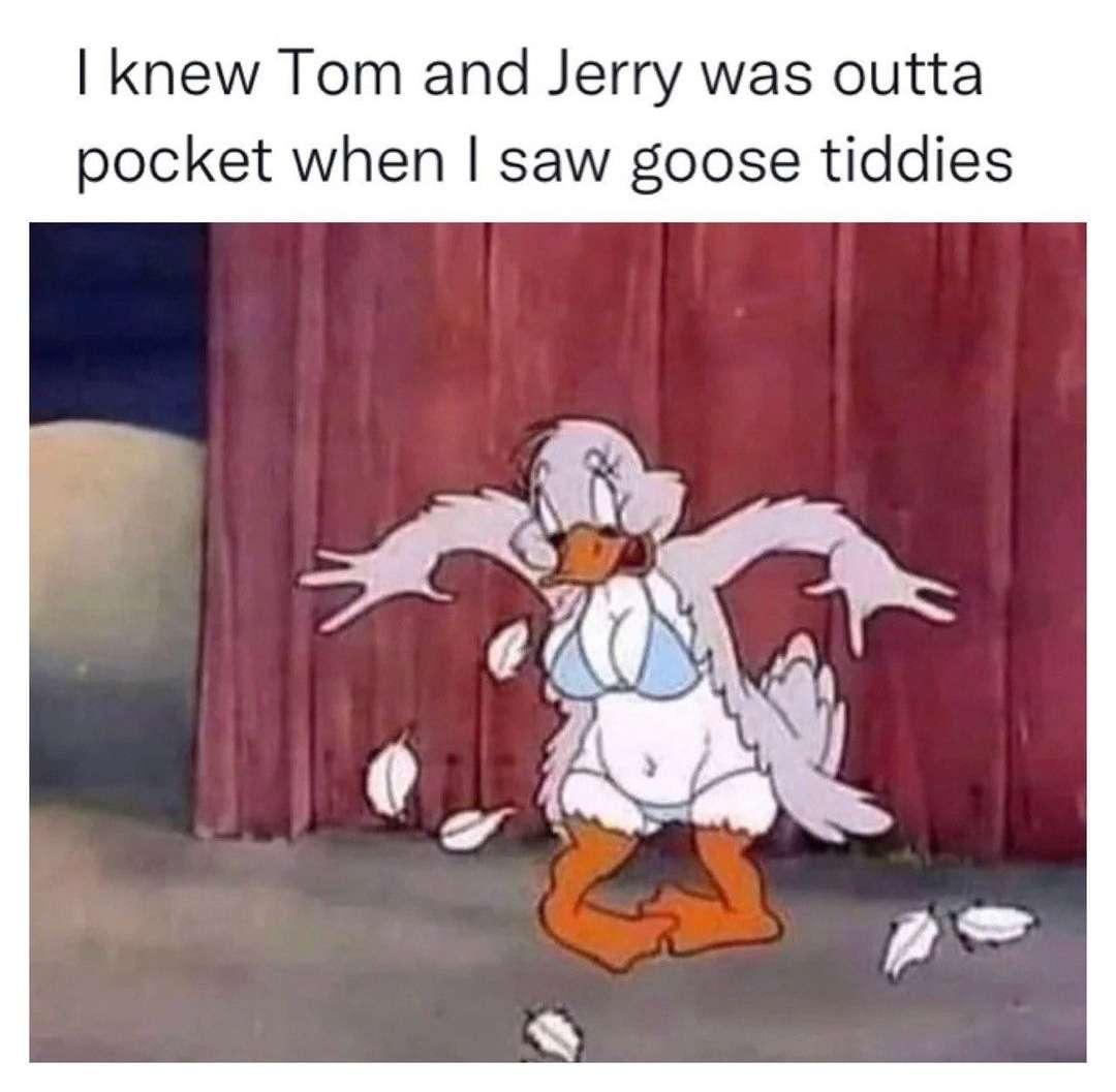 monday morning randomness - tom and jerry female goose - I knew Tom and Jerry was outta pocket when I saw goose tiddies