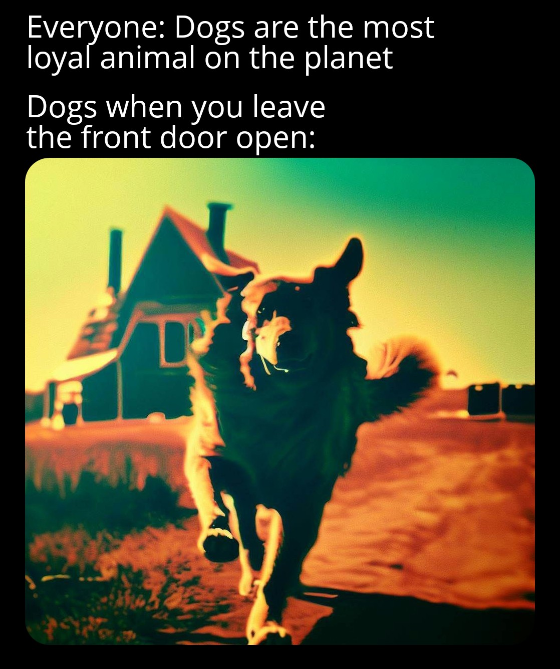 monday morning randomness - poster - Everyone Dogs are the most loyal animal on the planet Dogs when you leave the front door open
