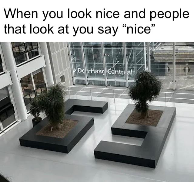 monday morning randomness - we need you to make your lobby look nice - When you look nice and people that look at you say "nice" Den Haac Centraal
