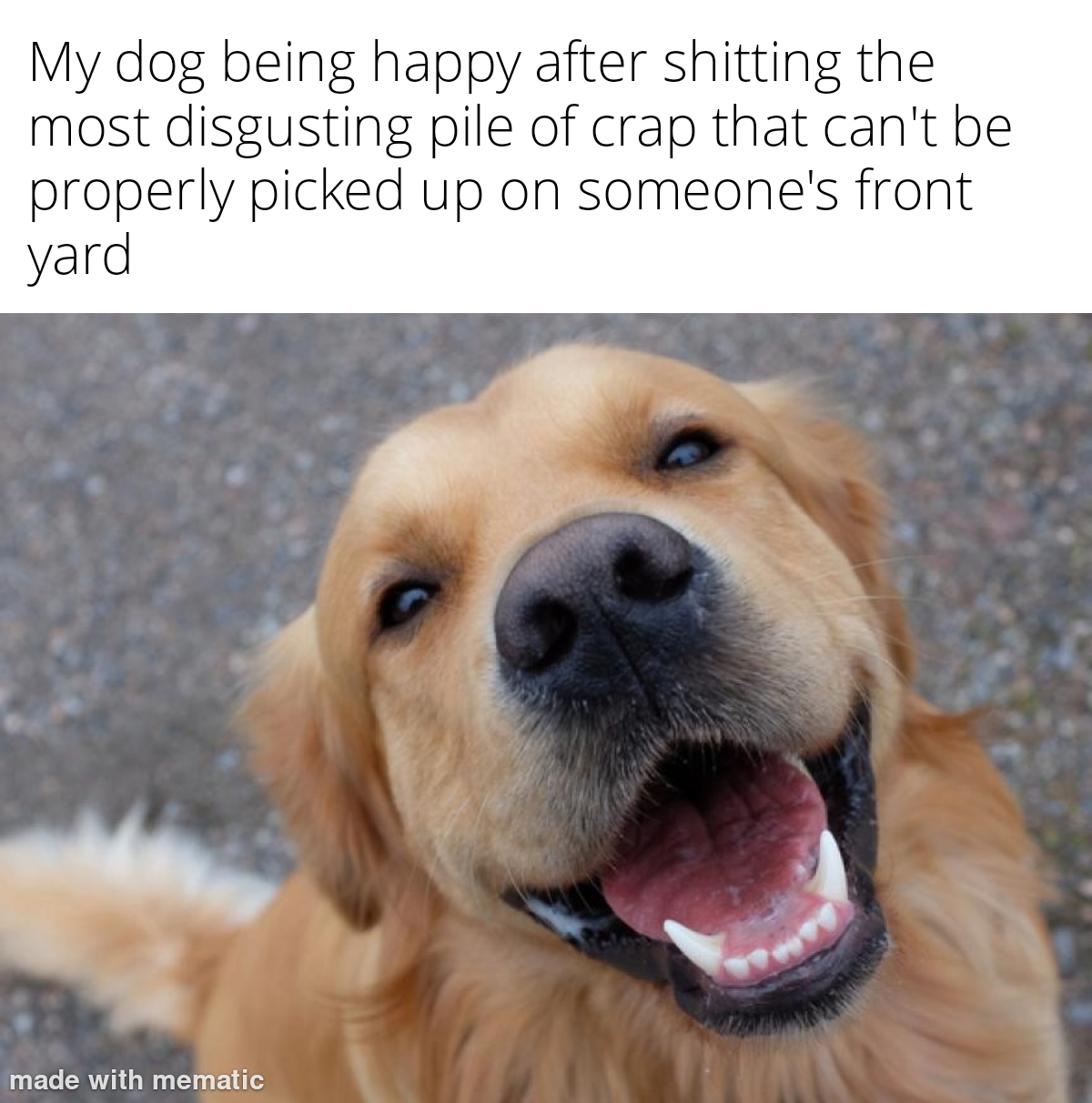 dank memes - happy dog - My dog being happy after shitting the most disgusting pile of crap that can't be properly picked up on someone's front yard made with mematic