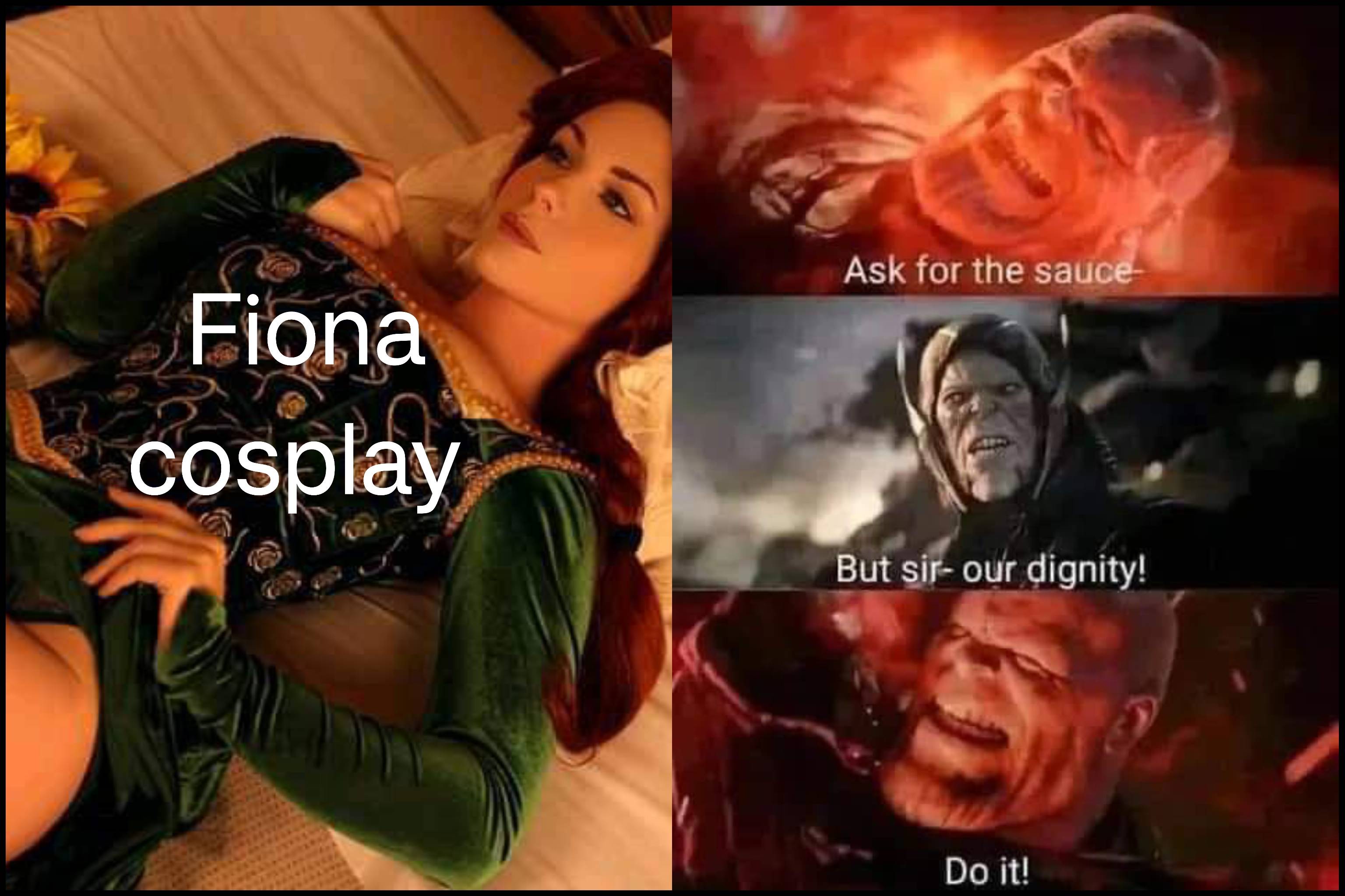 dank memes -  Photograph - Fiona cosplay Ask for the sauce But sir our dignity! Do it!