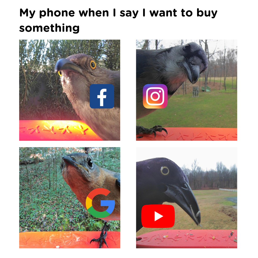 dank memes -  fauna - My phone when I say I want to buy something f G