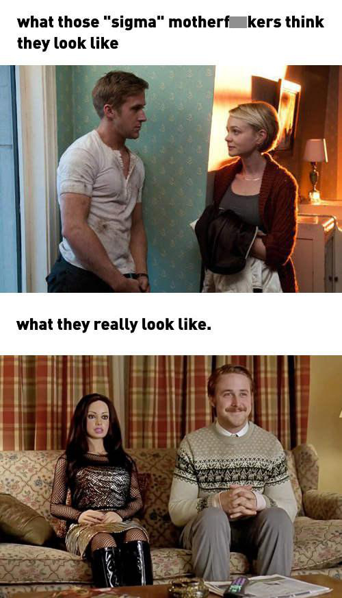 funny memes - lars and the real girl cast - what those "sigma" motherf kers think they look what they really look . Op