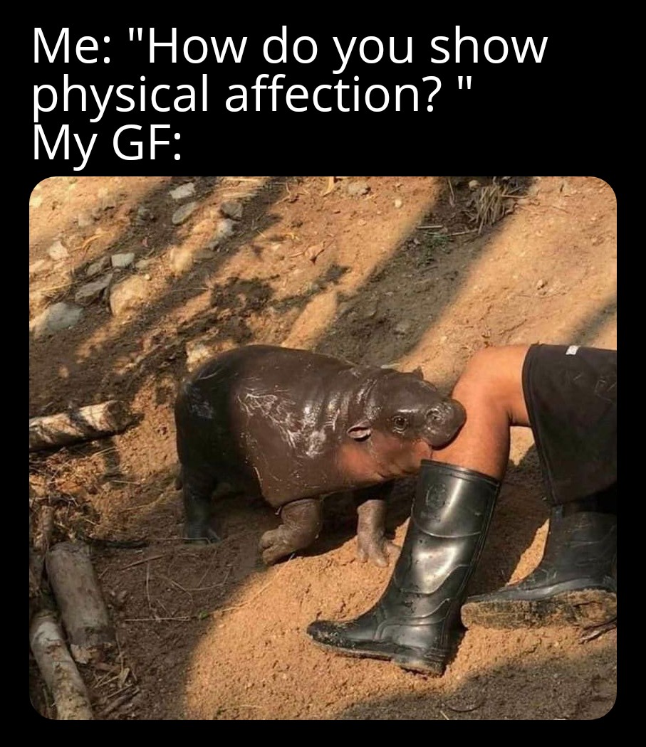 funny memes- photo caption - Me "How do you show physical affection?" My Gf