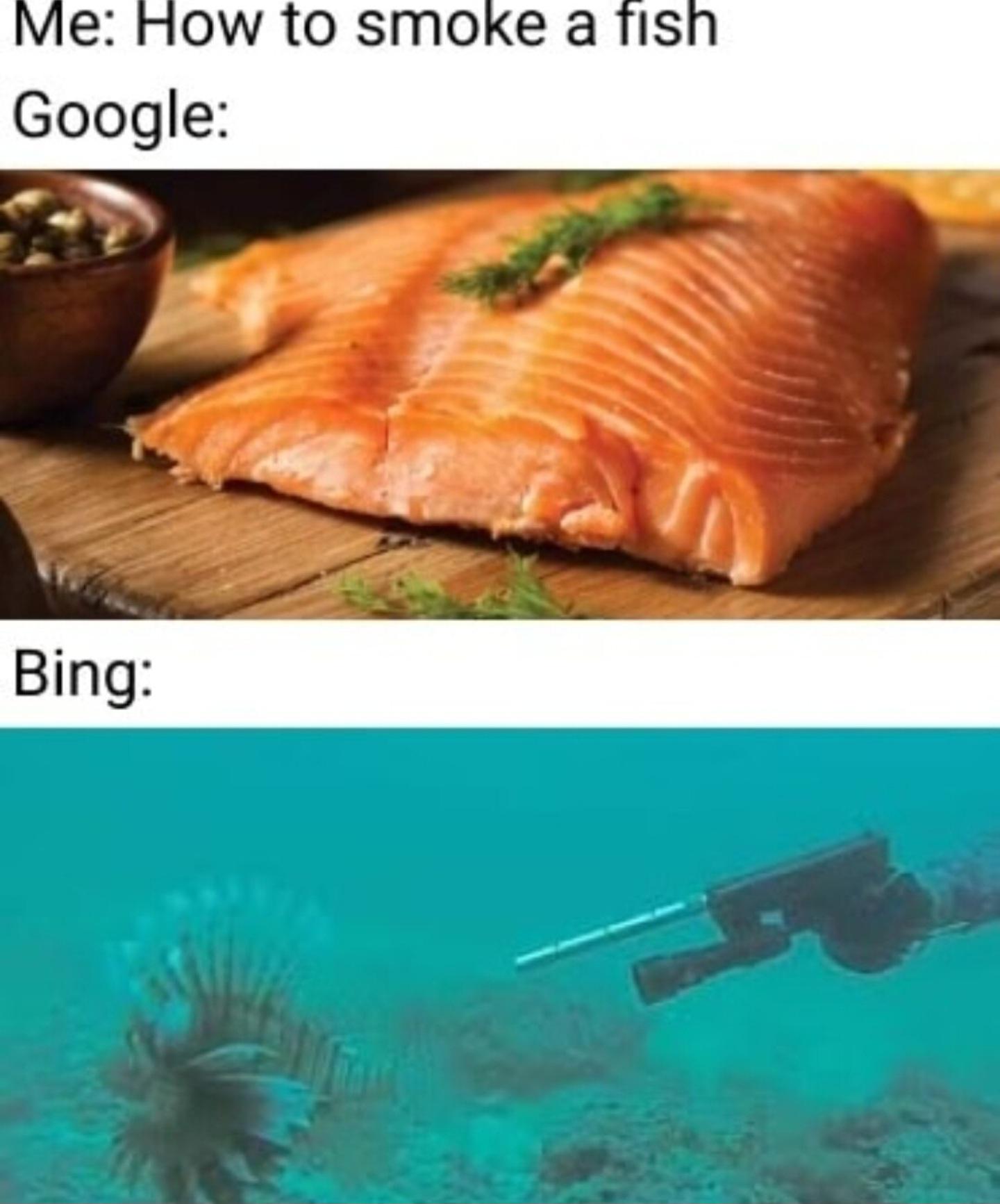 funny memes- google vs bing memes - Me How to smoke a fish Google Bing