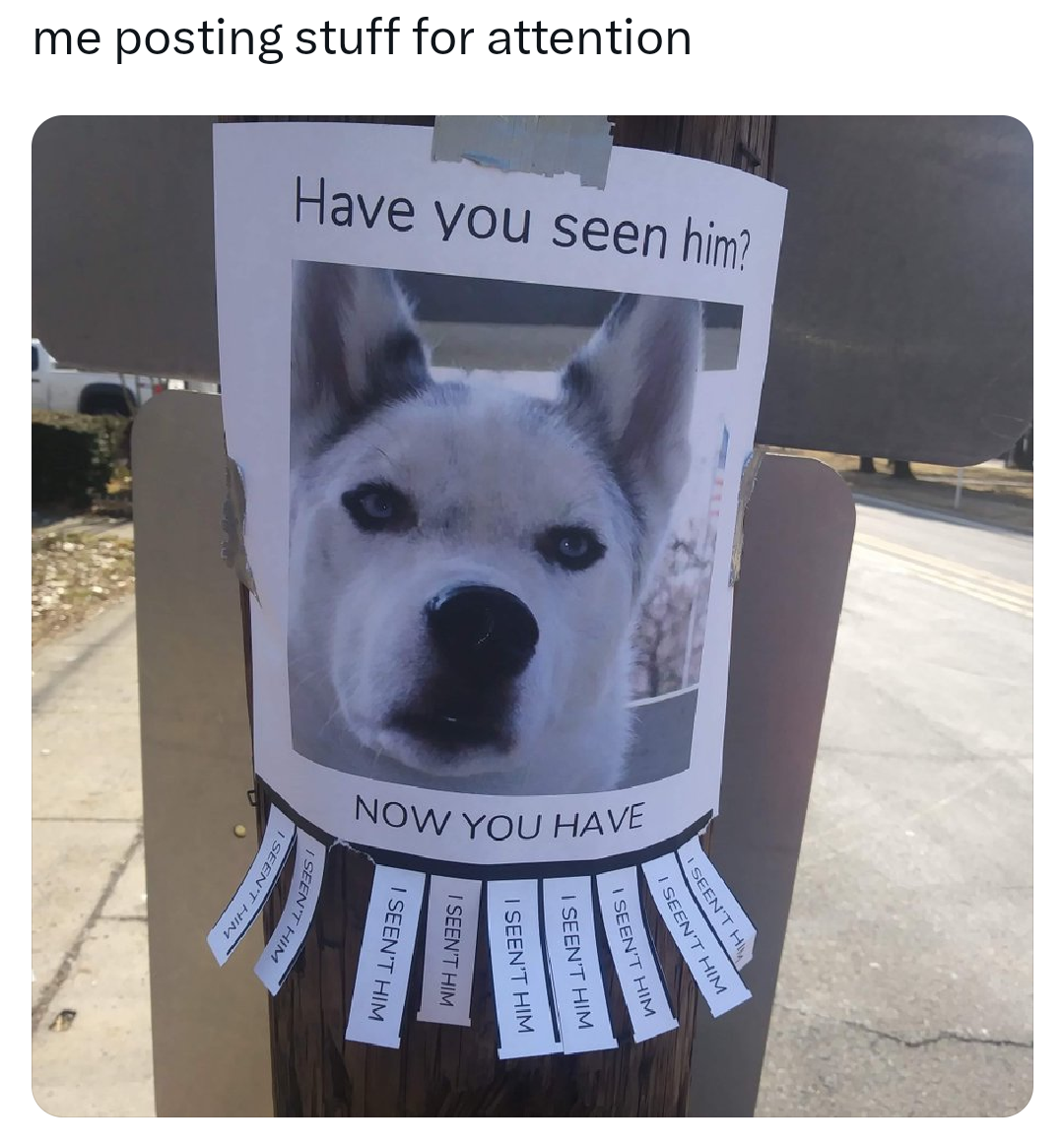 funny memes - dog - me posting stuff for attention Have you seen him? Now You Have Im Scent H Escent Iseen'T Him Iseen'T Him Iseen'T Him Iseen'T Him I Seen'T Him Seen'T M Men'T F