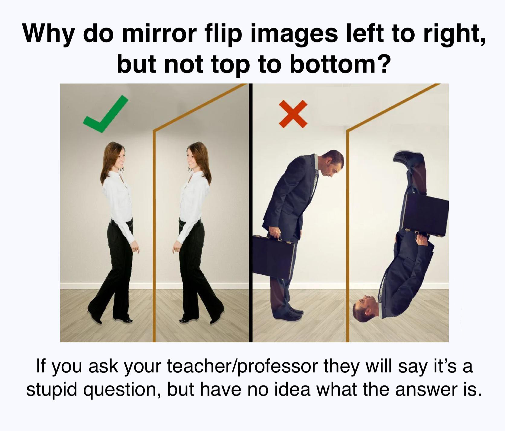 funny memes - mirror reverse - Why do mirror flip images left to right, but not top to bottom? X If you ask your teacherprofessor they will say it's a stupid question, but have no idea what the answer is.